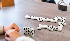 13838_3.jpg